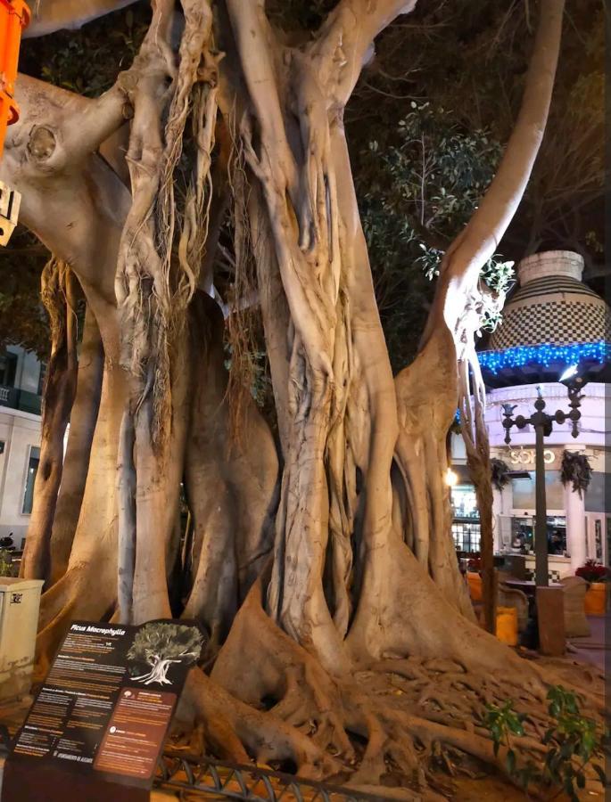 City Center Alicante - Santa Lucia - 2 Εξωτερικό φωτογραφία